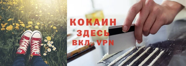 mdpv Инта