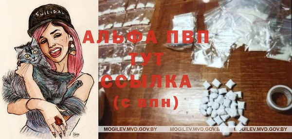 мяу мяу мука Инсар
