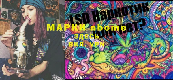 мяу мяу мука Инсар