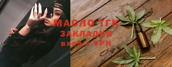 мяу мяу мука Инсар