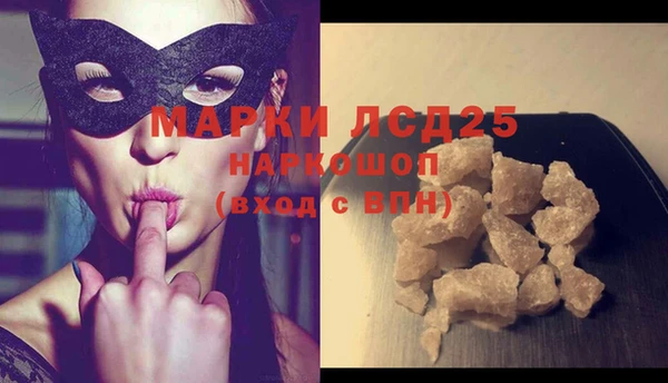 мяу мяу мука Инсар