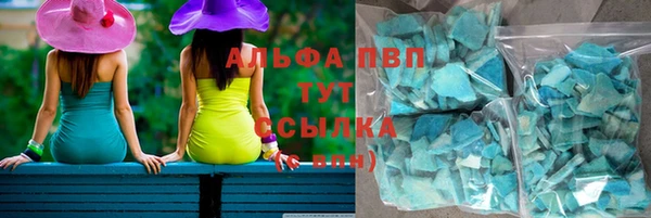мяу мяу мука Инсар