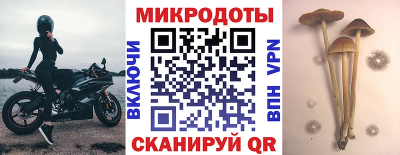 Галлюциногенные грибы GOLDEN TEACHER  MEGA вход  Брюховецкая 